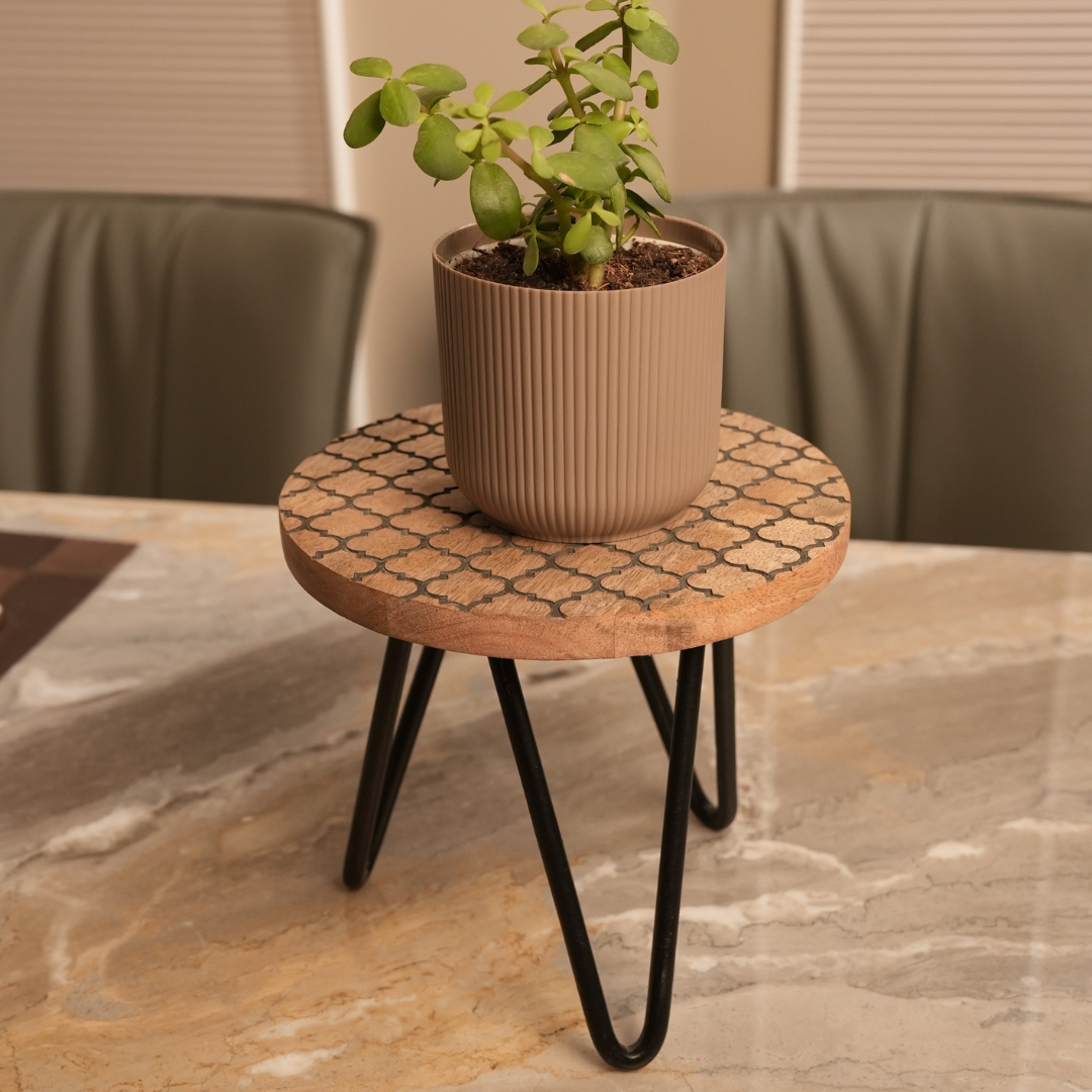 Wooden Plant Stand with Resin Top Decorative Pot Holder